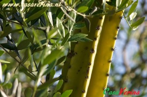 servizi_famiglia_parco (3)
